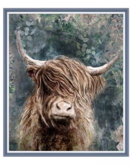 DOUGAL HIGHLAND COW PICTURE