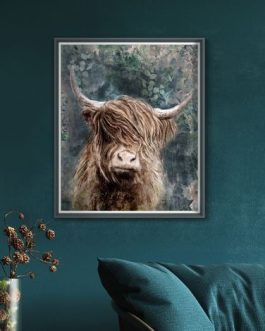 DOUGAL HIGHLAND COW PICTURE