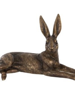 LAYING HARE