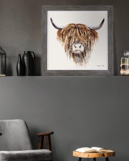 FREDDIE HIGHLAND BULL CANVAS PICTURE